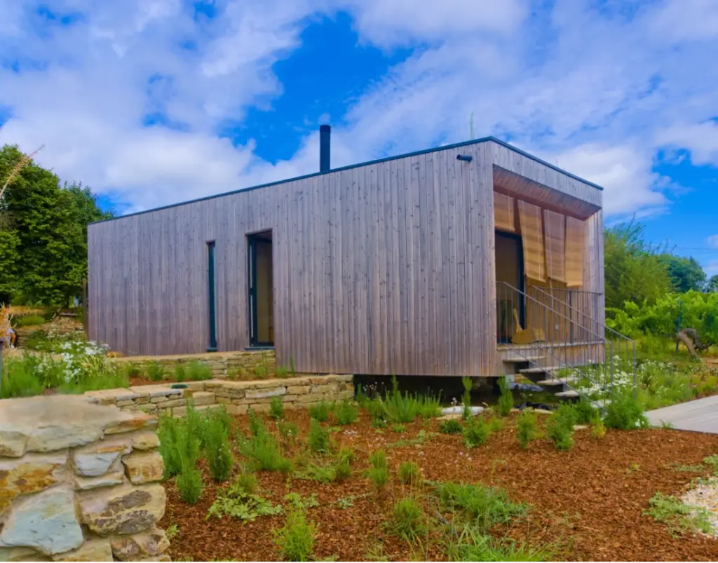 Low maintenance garden near wooden house